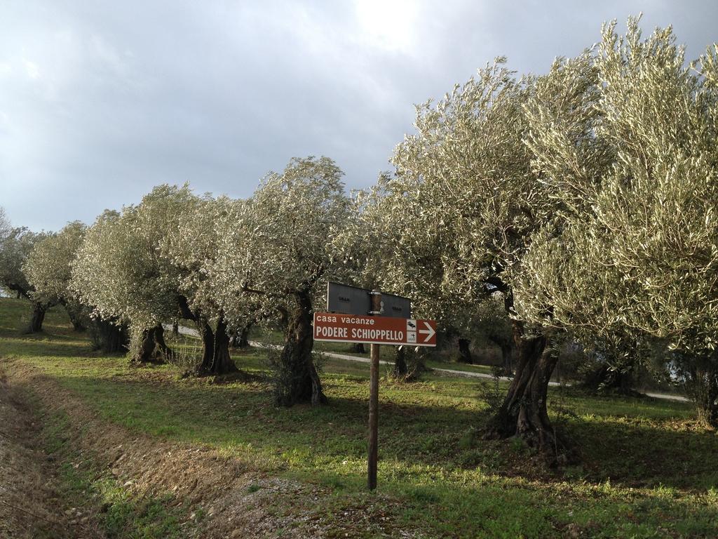 Podere Schioppello Casale Con Appartamenti Privati Cibottola Chambre photo