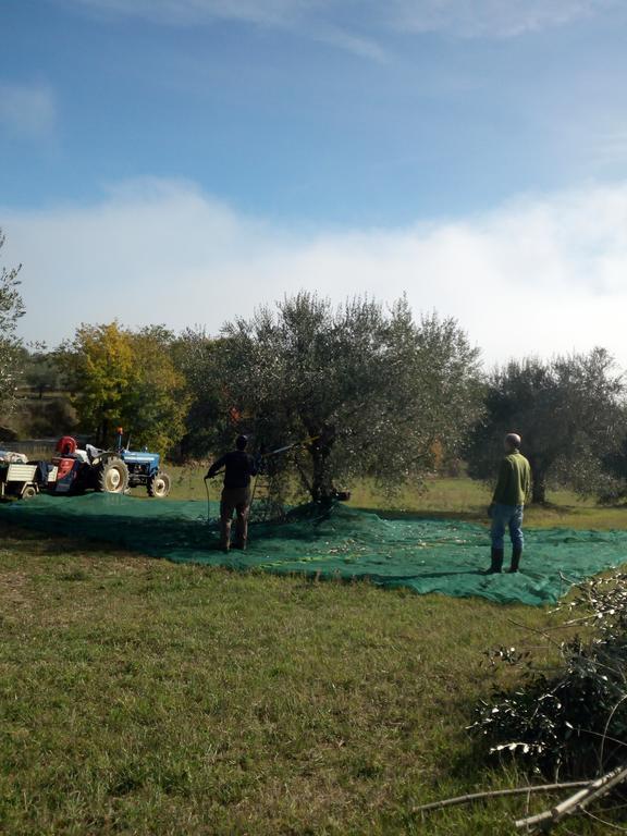 Podere Schioppello Casale Con Appartamenti Privati Cibottola Extérieur photo